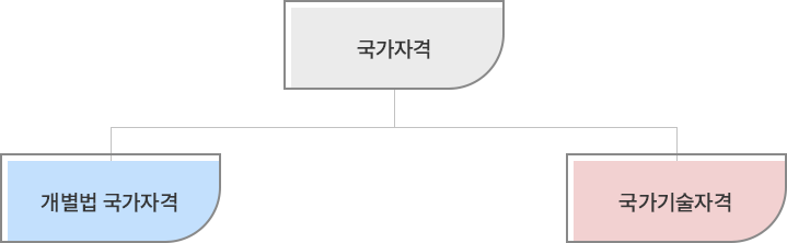 국가자격 유형